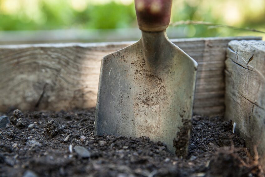 Orto: 5 attrezzi di lavoro indispensabili