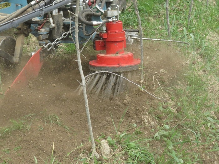 Nuovi strumenti di valutazione su prodotti e tecniche di coltivazione per gli agricoltori biologici
