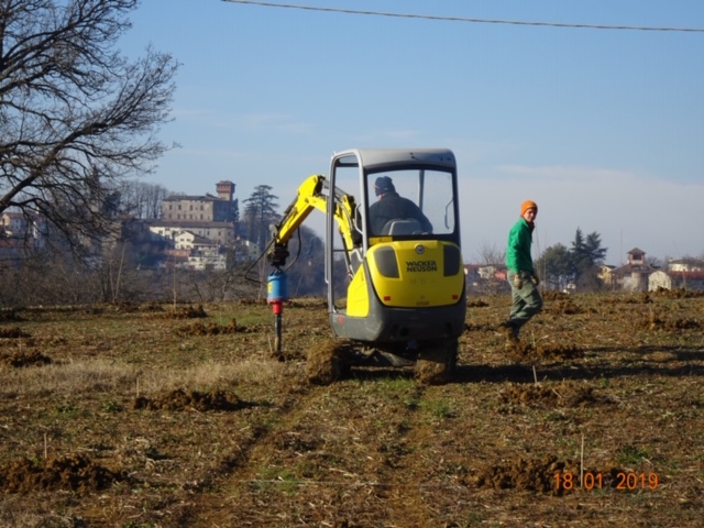 Nasce a Carpeneto il nuovo impianto sperimentale sul nocciolo