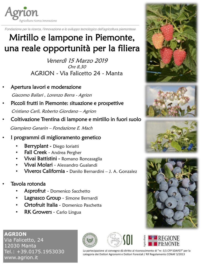 15/03/2019 – Mirtillo e Lampone in Piemonte, una reale opportunità per la filiera