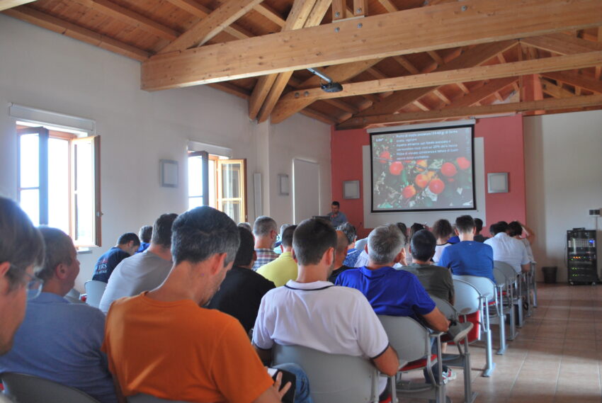 Varietà di ciliegio e albicocco interessanti per il Piemonte