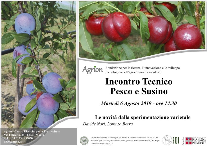 6/08/2019 – Incontro Tecnico Pesco e Susino (Manta CN, ore 14.30)