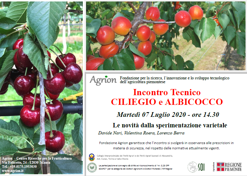 7/07/2020 – Incontro Tecnico Ciliegio e Albicocco (Manta CN, ore 14.30)