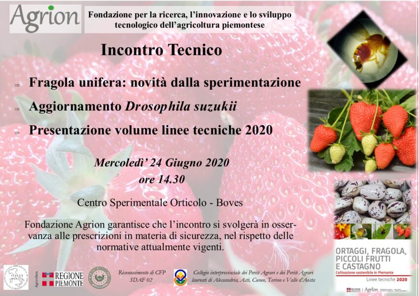 24/06/2020 – Incontro Tecnico Fragola unifera (Boves CN, ore 14.30)