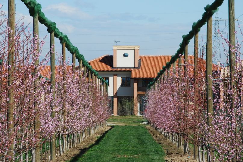 Giornate FAI di Primavera 2021