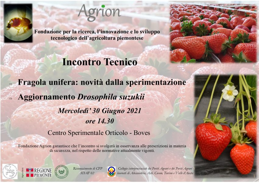 30/06/2021 – Incontro Tecnico Fragola Unifera 2021 (Boves CN, ore 14.30)