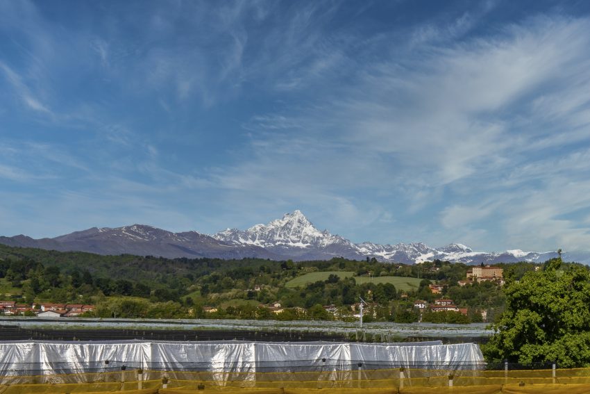 AGROINNOVA e AGRION raccontano l’agricoltura piemontese attraverso le novità della difesa delle colture ortofrutticole