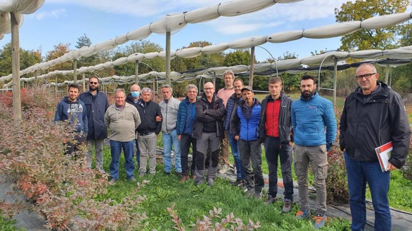 I tecnici di Fondazione Edmund Mach in visita presso il Centro Sperimentale orticoltura fragola e piccoli frutti di Fondazione Agrion