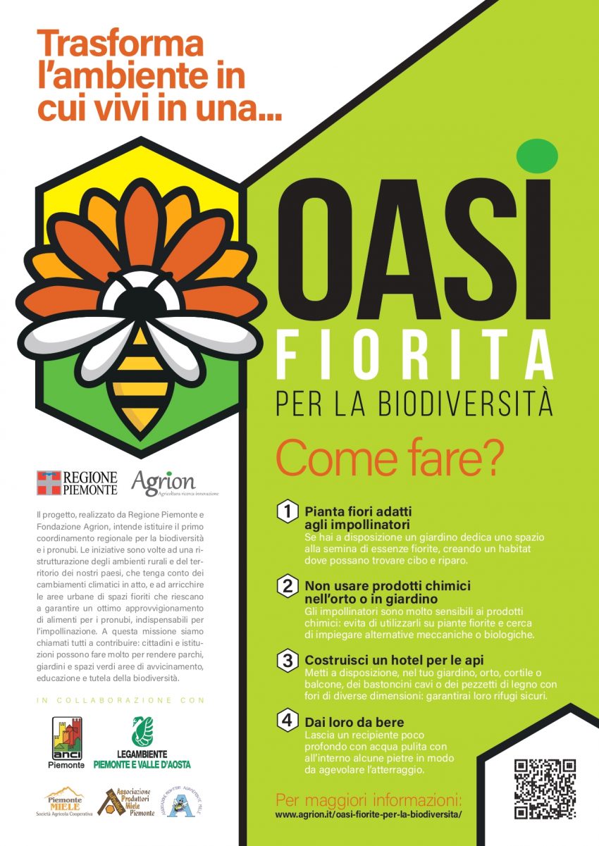 Oasi Fiorita