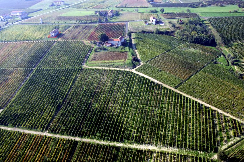 Viticoltura di precisione in Piemonte