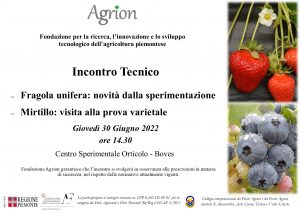 30/06/2022 - Incontro tecnico fragola unifera e mirtillo @ Centro Sperimentale orticoltura - Boves (CN)