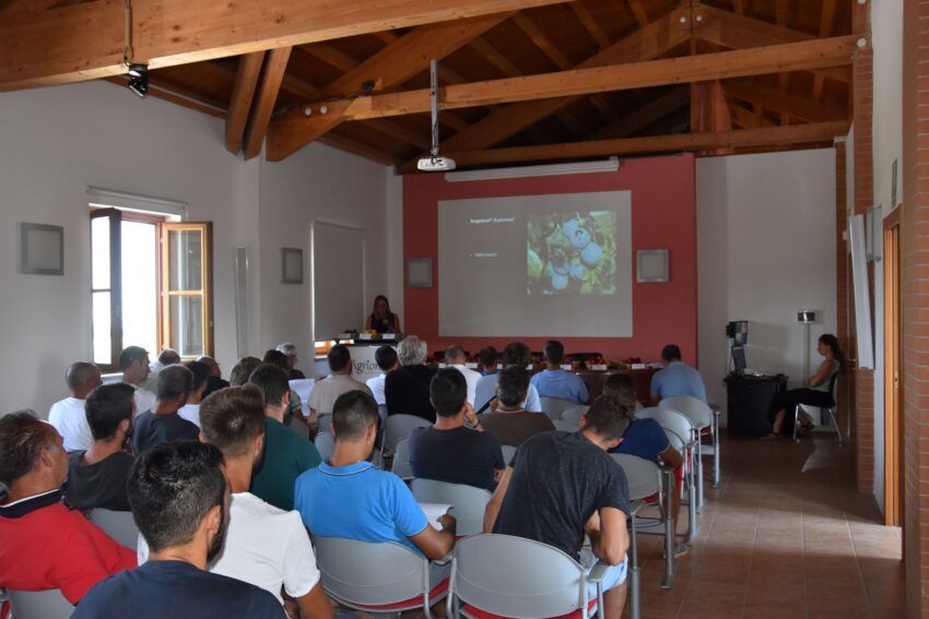 INCONTRO TECNICO SU PESCO E SUSINOAgrion fa il punto sulle novità della sperimentazione varietale.