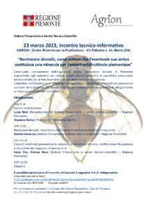 23/03/2023 - Bactrocera dorsalis, come evitare che l’eventuale suo arrivo costituisca una minaccia per l’export ortofrutticolo piemontese @ Centro Sperimentale frutticoltura - Manta(CN)