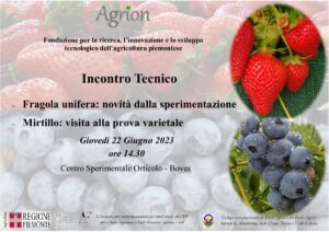 22/06/2023 - Incontro tecnico fragola unifera e mirtillo @ Centro Sperimentale Orticolo - Boves