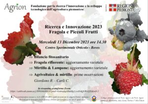 13 dicembre 2023 - Ricerca e Innovazione 2023 Fragola e Piccoli Frutti @ Centro sperimentale Orticolo - BOVES