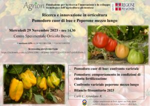 29 novembre 2023 - Ricerca e innovazione in orticoltura "Pomodoro cuor di bue e Peperone mezzo lungo" @ Centro sperimentale Orticolo - BOVES