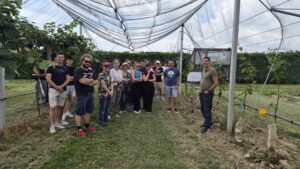 Il progetto SOS-KIWI si racconta a Manta: universitari del DISAFA di Torino e degli Stati Uniti tra i filari di actinidia ad Agrion