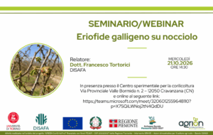 21/10/2026 - SEMINARIO/WEBINAR Eriofide galligeno su nocciolo @ Centro Sperimentale Corilicolo di Fondazione Agrion